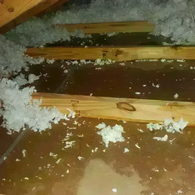 Attic Water Damage in Schiller Park, IL