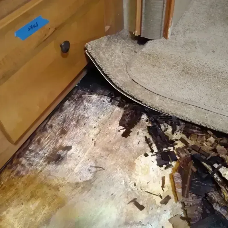 Wood Floor Water Damage in Schiller Park, IL